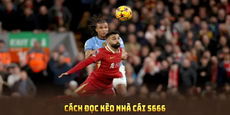 Cách đọc kèo nhà cái S666