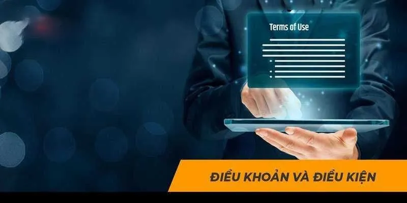 Trách nhiệm của người chơi trong điều khoản điều kiện S666 