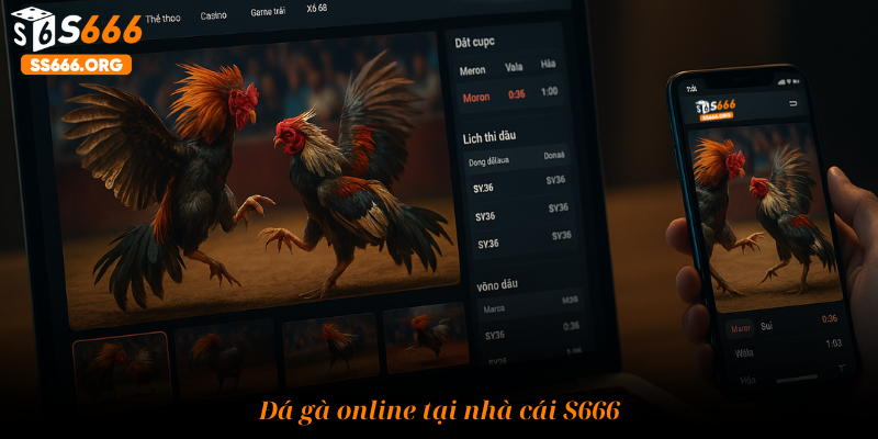 Đá gà online tại S666